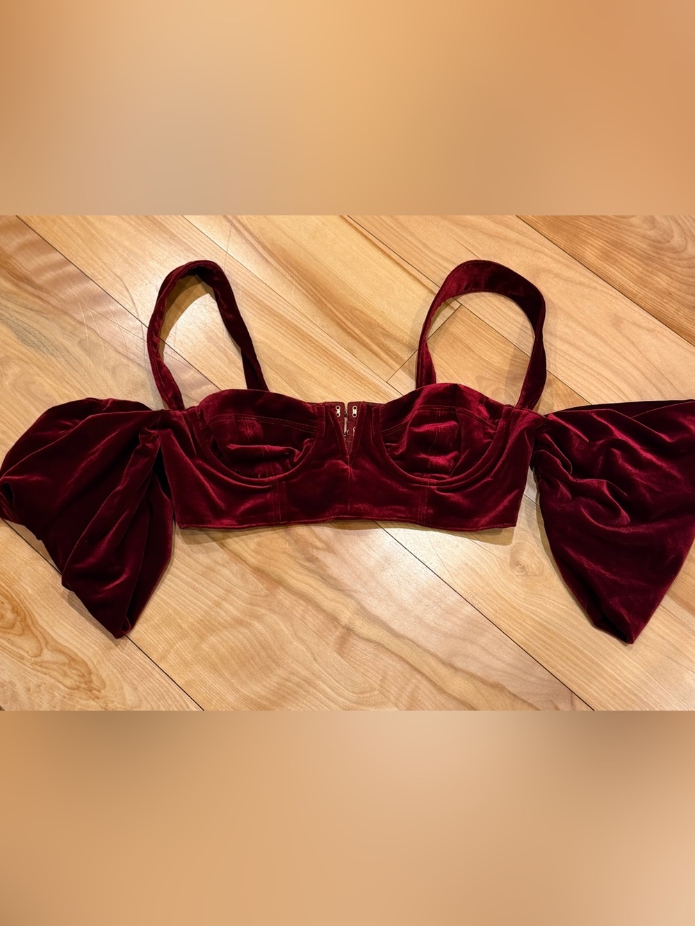 House of CB Velvet Burgundy Bustier Crop Top